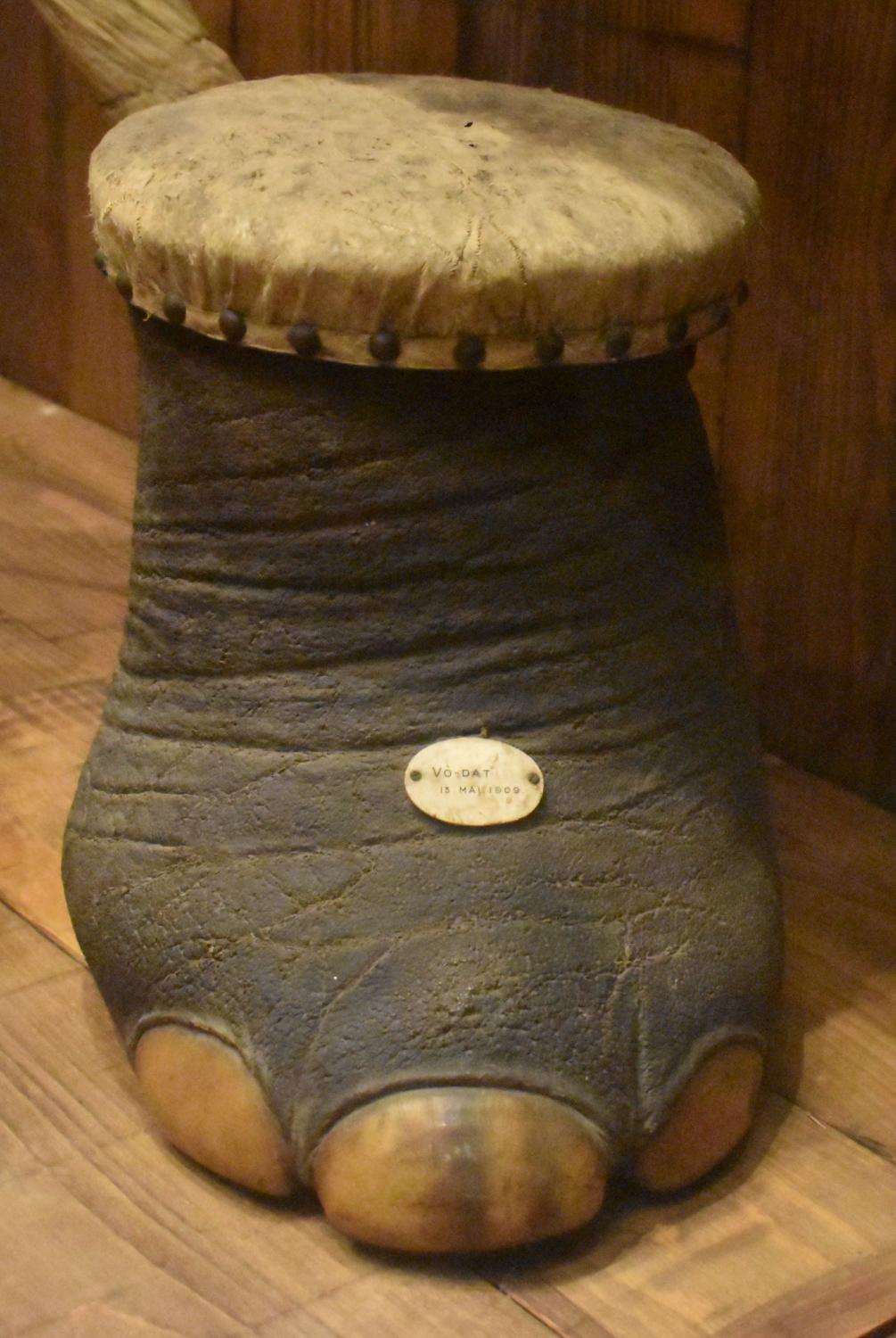 Pied d'éléphant monté en tabouret