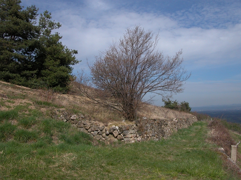 Présentation de la commune d'Essertines-en-Châtelneuf