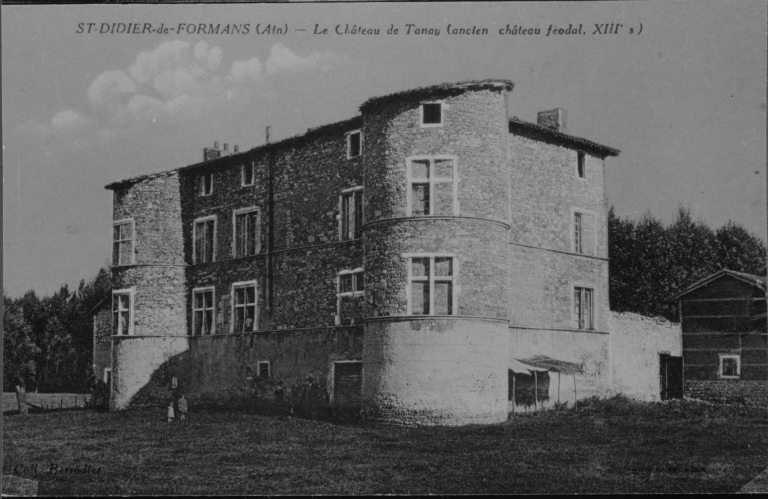 Château Fort dit Château de Tanay