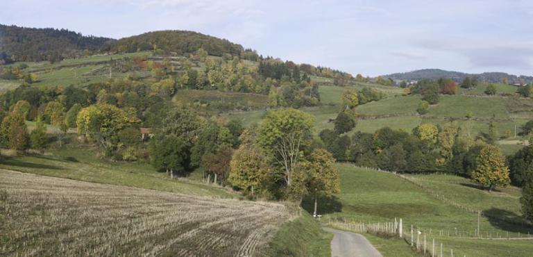 Présentation du canton de Montbrison