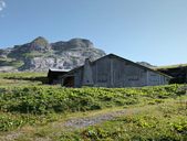 Ferme, dite chalet d'alpage d'Aujon