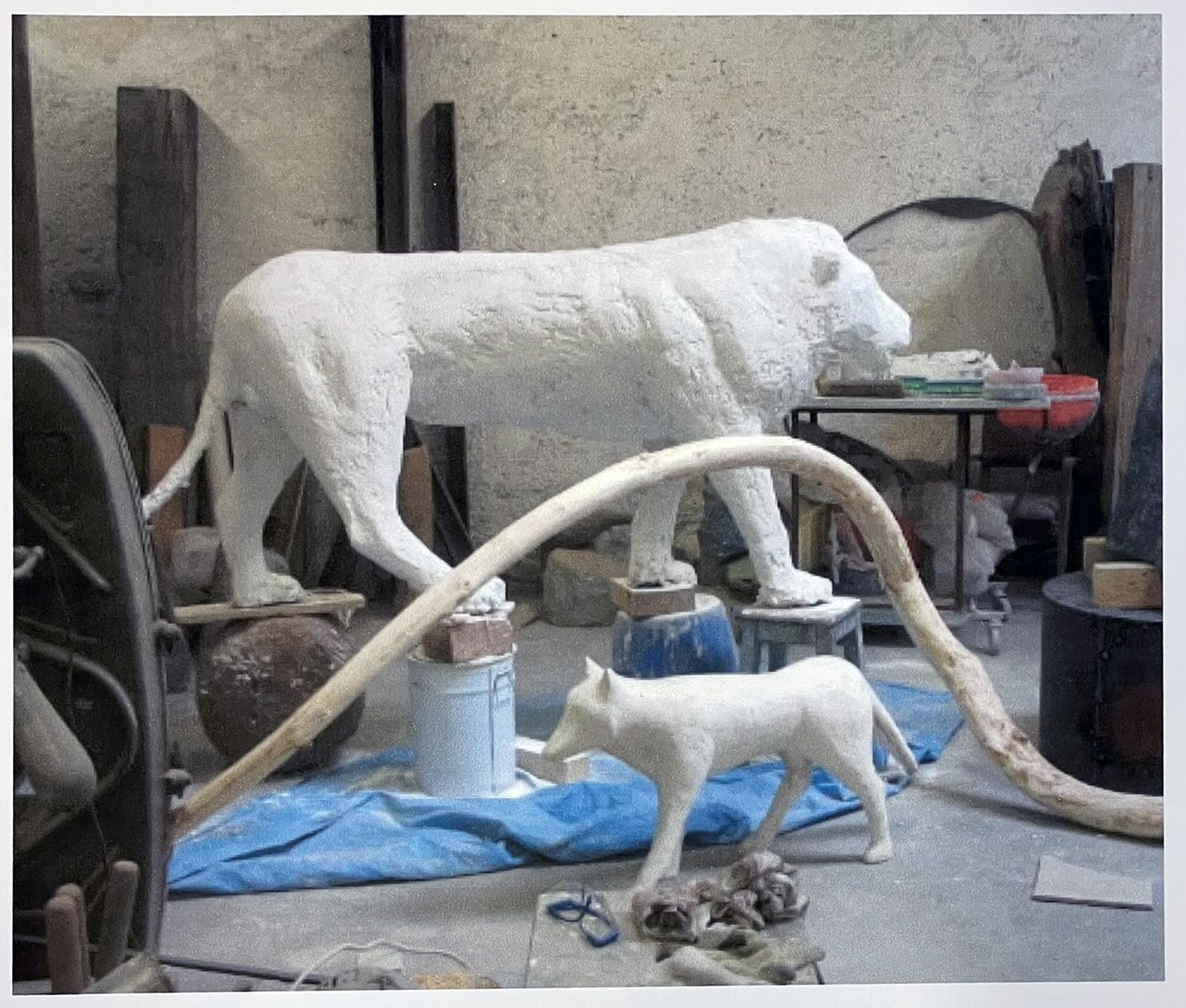 Installation, sculpture : What a wonderful world
