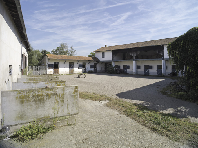 Ferme de Villeneuve, élevage de chevaux de course