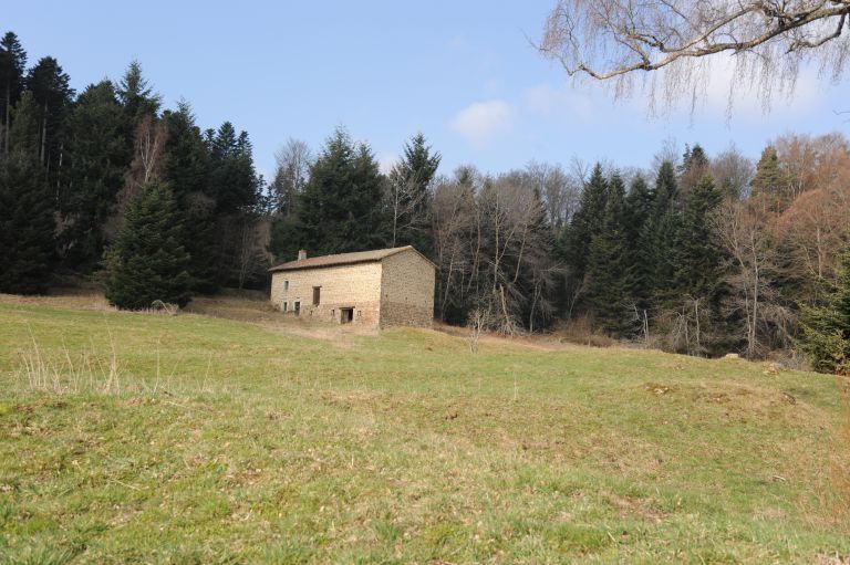 Ferme d'estive, dite jasserie