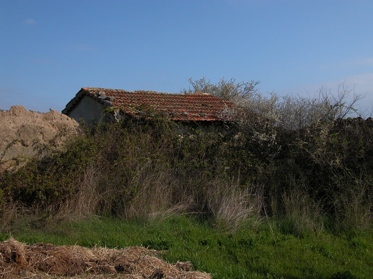 Cabane de vigneron, dite loge de vigne