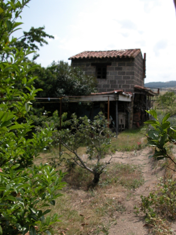 Cabane de vigneron, dite loge de vigne