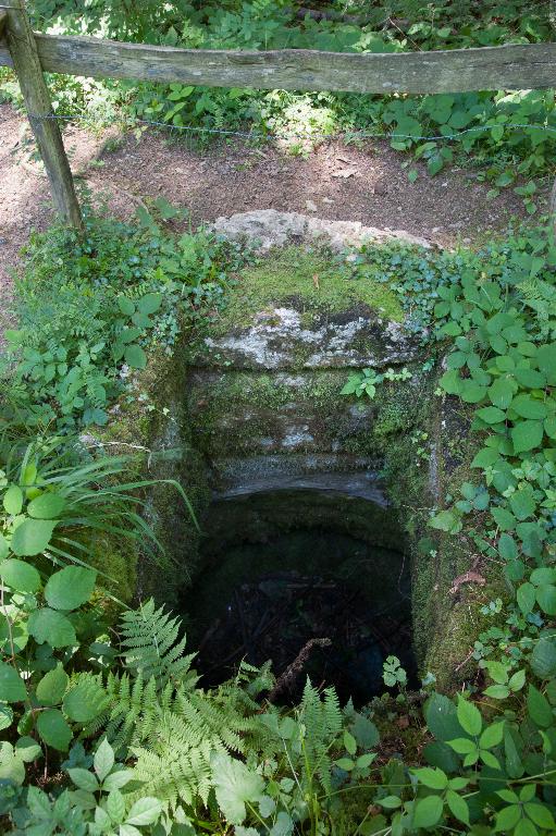 Fosse à ours de Montangelier