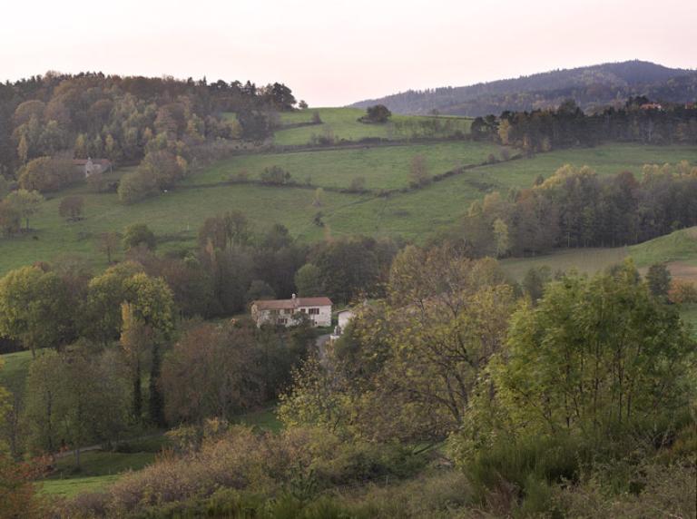 Présentation du canton de Montbrison