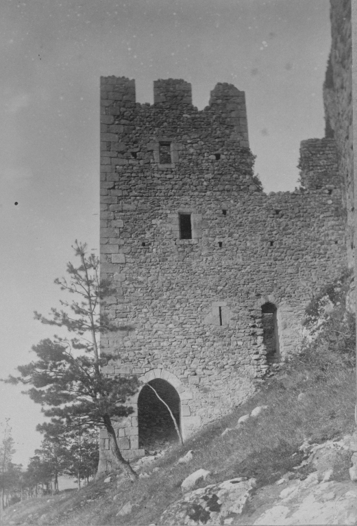 Château fort de Couzan