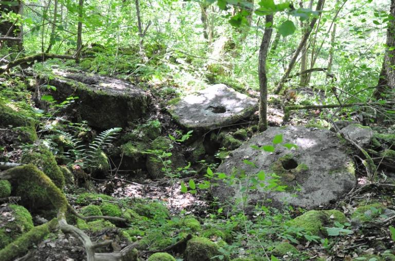 Moulins à farine, pressoir et foulon de la Coutaz actuellement vestiges