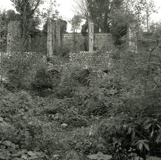 Fonderie de la Meilhe dit Hauts Fourneaux de la Voulte puis tissage Baboin actuellement jardin public dit parc Baboin