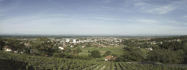 Présentation du canton de Montbrison