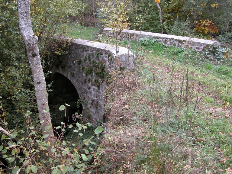 Présentation de la commune d'Essertines-en-Châtelneuf