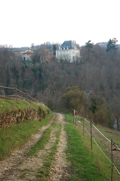 Château de la Tuilière