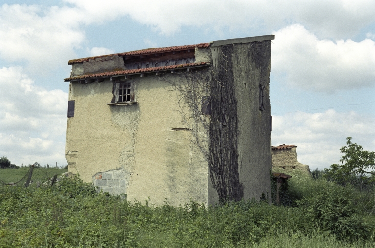 Les colombiers du canton de Boën et de la commune de Sail-sous-Couzan