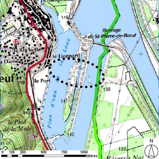 Bac, et bac à traille de Saint-Pierre-de-Boeuf (disparus)