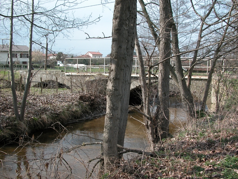 Présentation de la commune de Savigneux