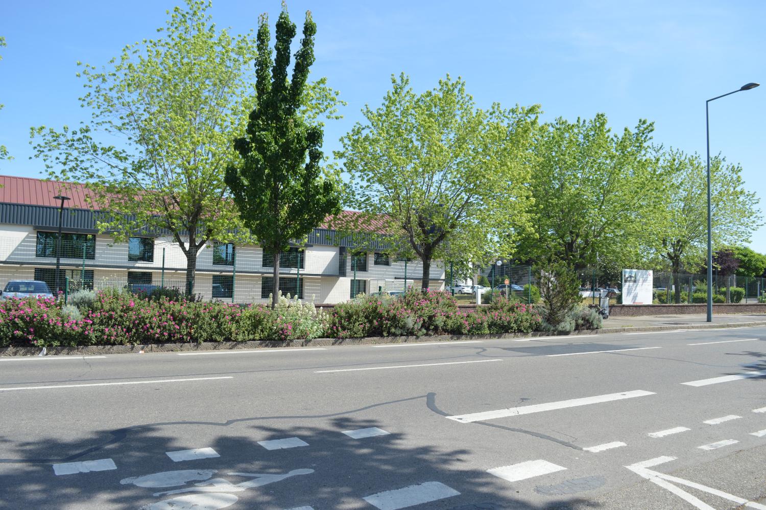 Société Française de Tubize (1924) puis Rhodiaceta (1951) avec cité ouvrière puis Parc d'Activités du Moulin à Vent actuellement Green Campus Park et cité ouvrière