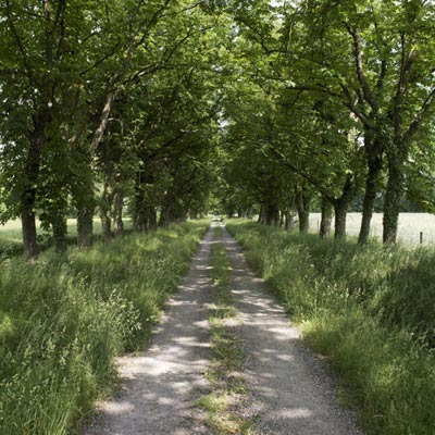 Demeure, dite château de Beaurevert