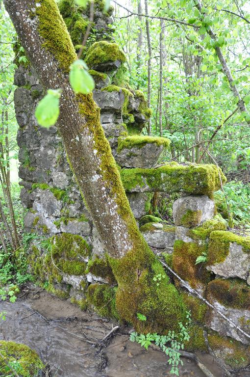 Moulins à farine et scierie du hameau de la ville actuellement détruit et vestiges