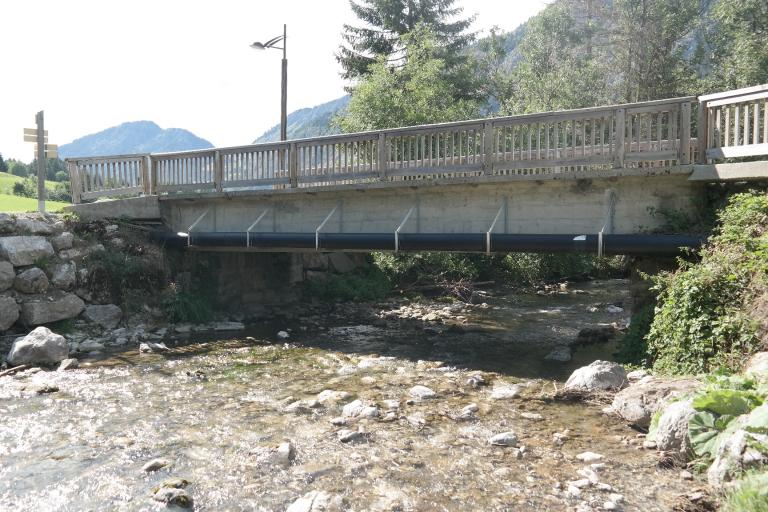 Pont de l'Ariot