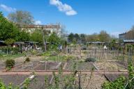 Jardins ouvriers familiaux de la section "Le Livre" à Gerland et logement social