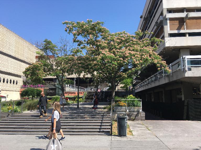 Projet du quartier de la Part-Dieu et Gare de la Part-Dieu (dossier d'urgence)