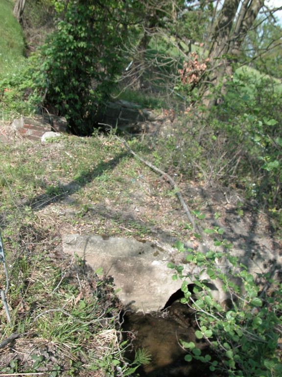 Présentation de la commune de Savigneux