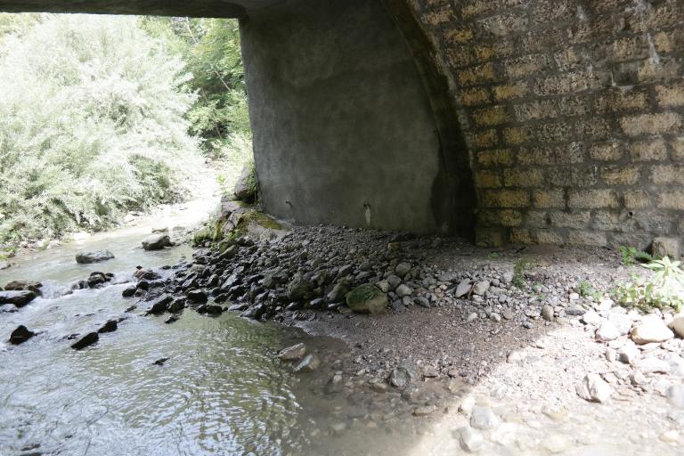 Pont du Confluent