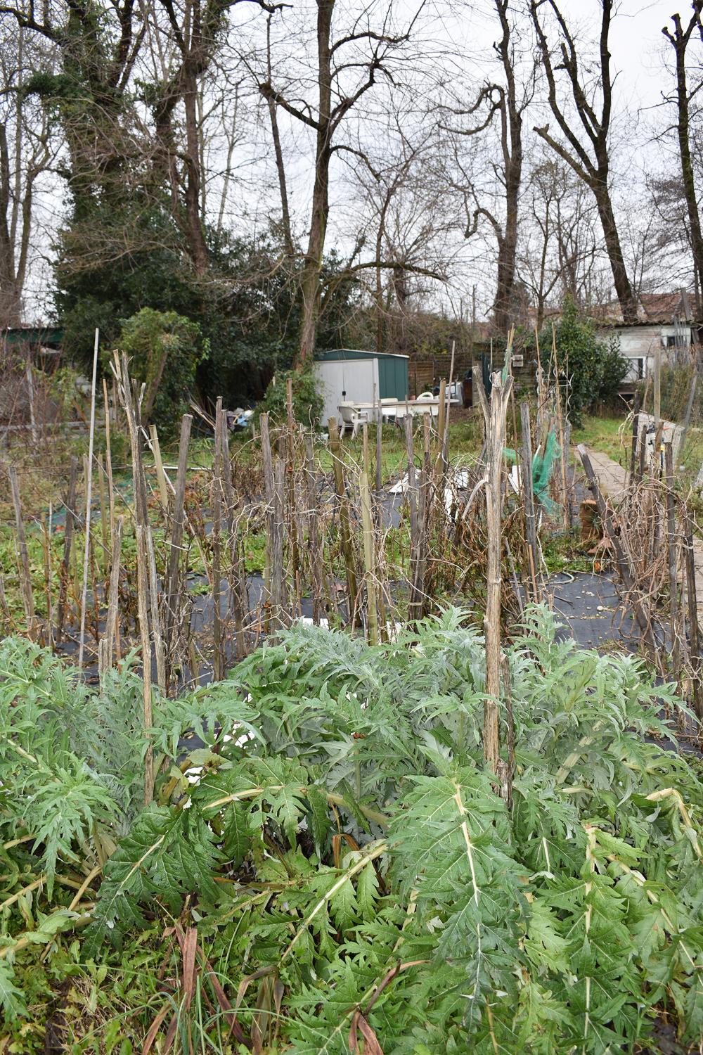 Jardins ouvriers de la Rize