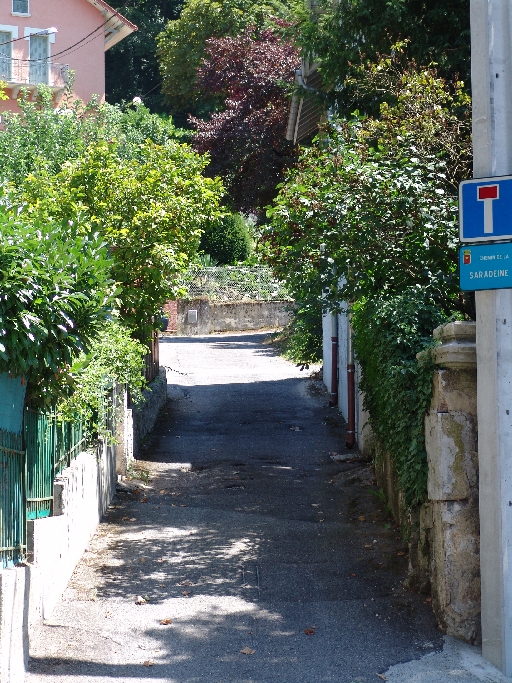 Chemin de la Saradeine