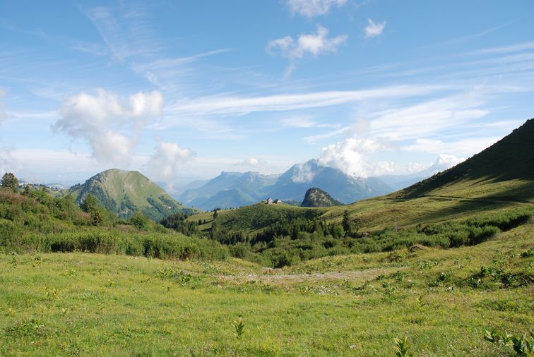 Le pastoralisme dans le Parc naturel régional du Massif des Bauges