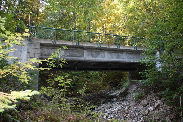 Pont de la route de Montriond