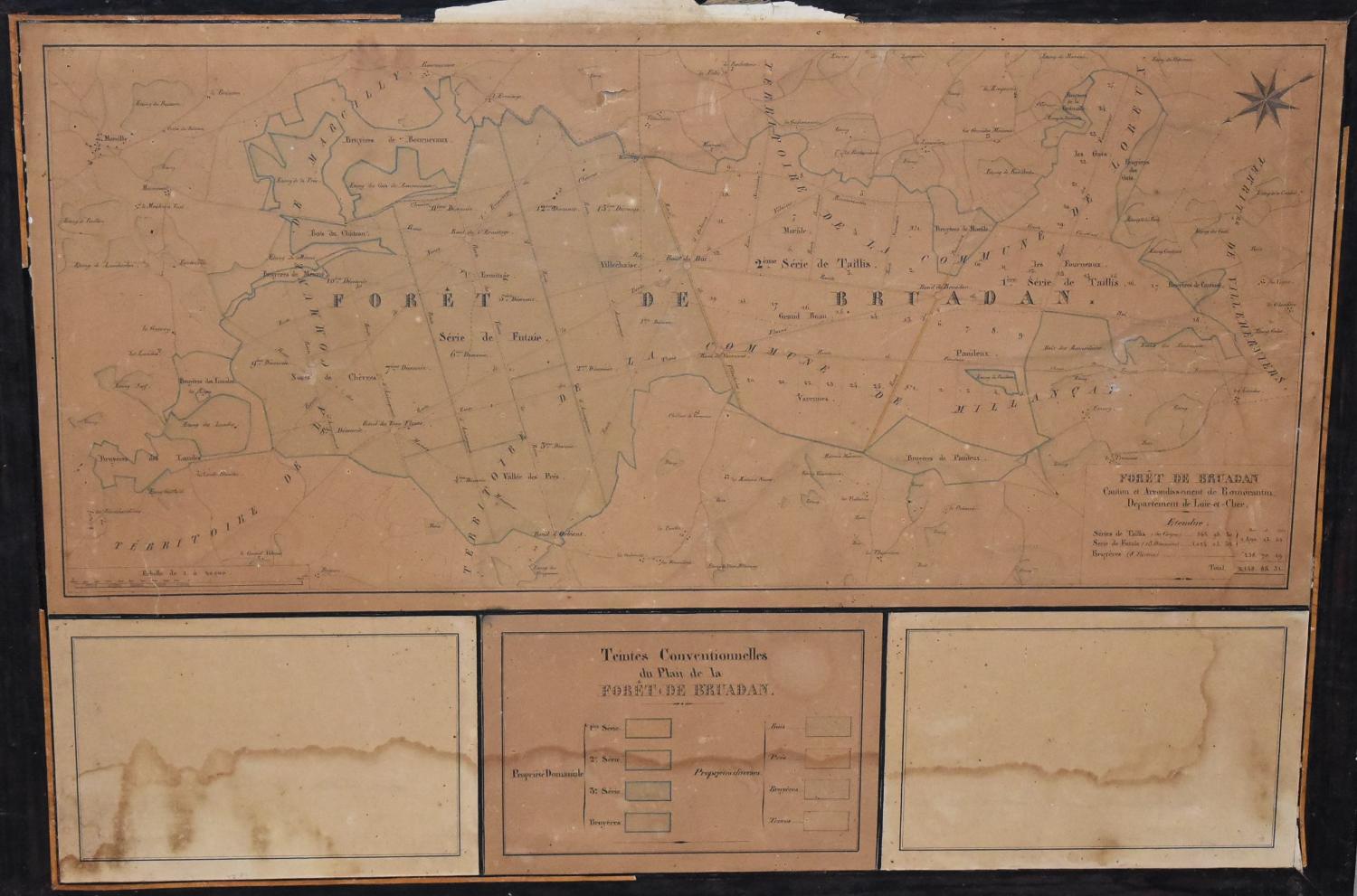 Plan de la forêt de Bruadan