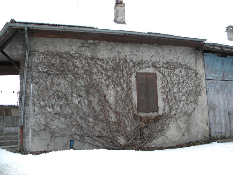 Ferme (n°10)