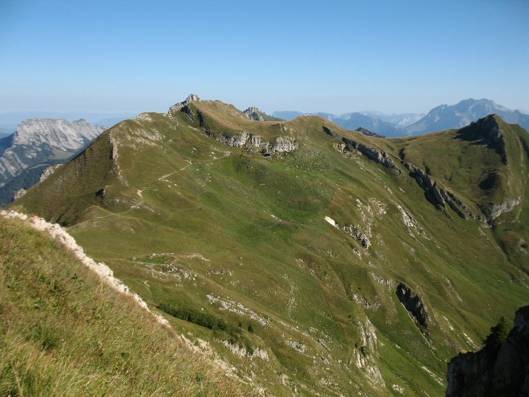 Le pastoralisme dans le Parc naturel régional du Massif des Bauges