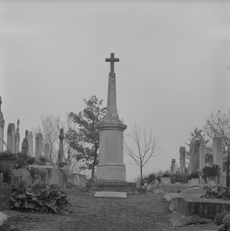 Les croix monumentales du canton de Trévoux