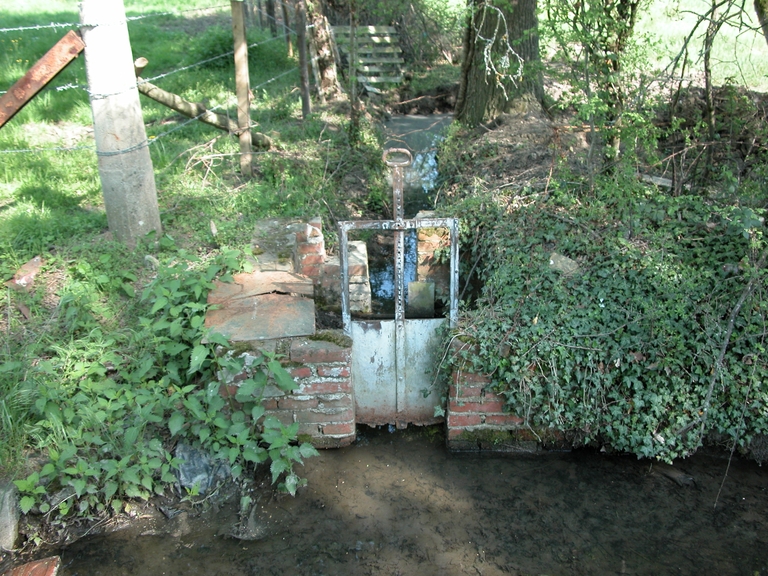 Présentation de la commune de Savigneux