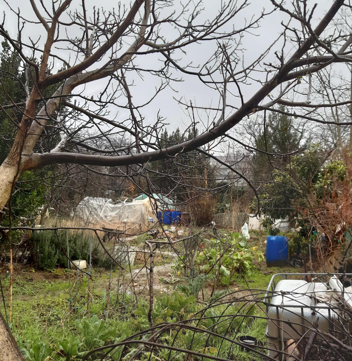 Jardins ouvriers du Vinatier