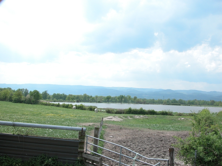 Présentation de la commune de Savigneux