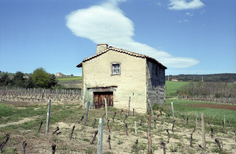 Les cabanes de vigne, dites loges de vigne, du canton de Boën et de la commune de Sail-sous-Couzan