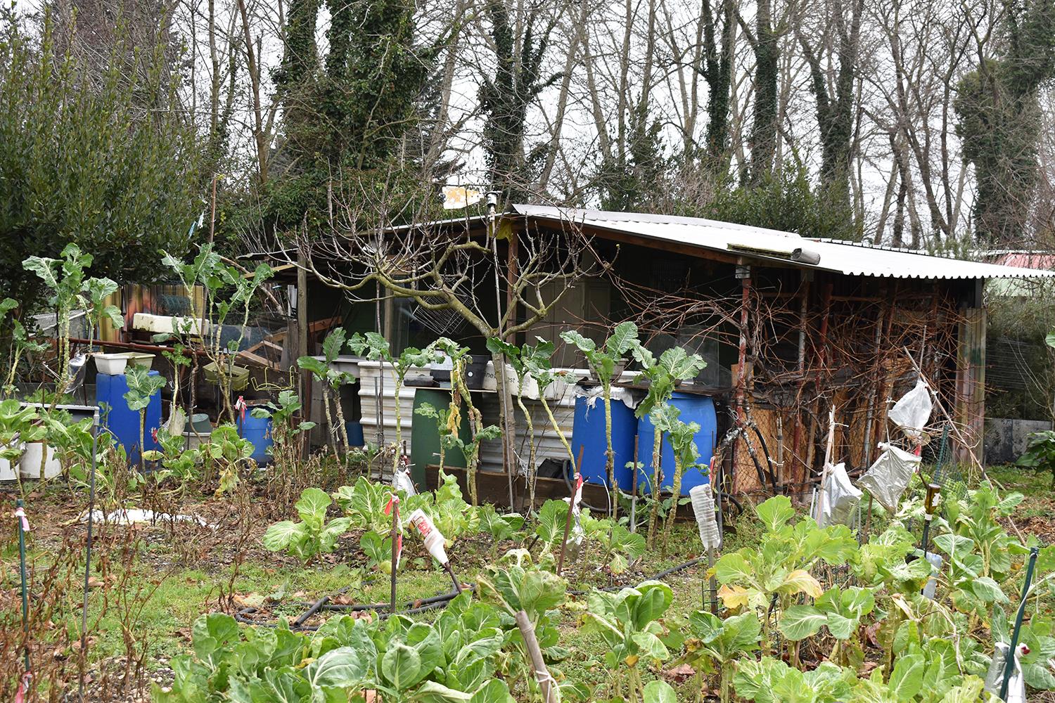 Jardins ouvriers de la Rize