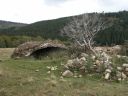 Ferme d'estive, dite jasserie