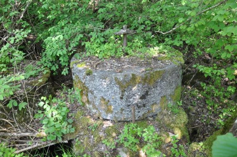 Moulin à farine Cecille puis Bonnivard dit moulin du Buisson actuellement vestiges