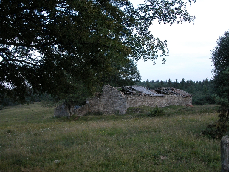 Ferme d'estive, dite jasserie