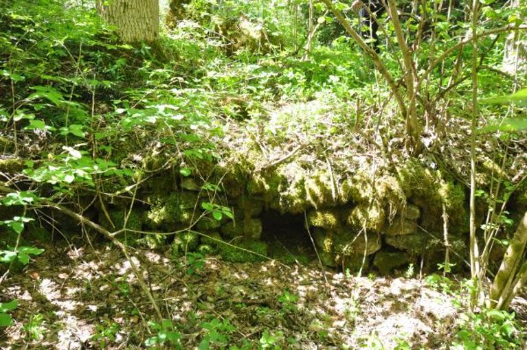 Moulin à farine du Repet du milieu actuellement vestiges
