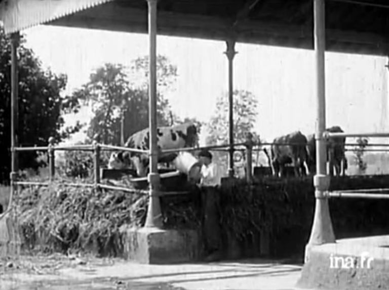 École d'agriculture, ensemble d'édifices agricoles : ferme-école, fermes, ateliers, hangars