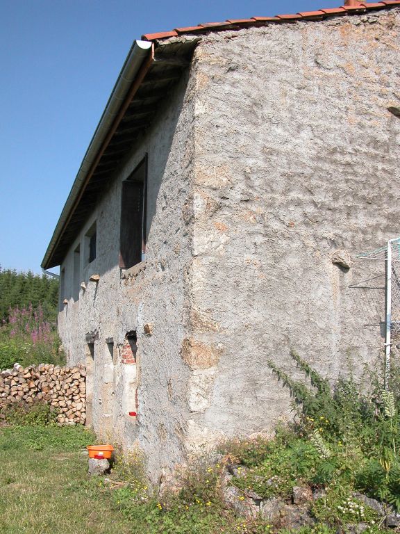 Ferme d'estive, dite jasserie