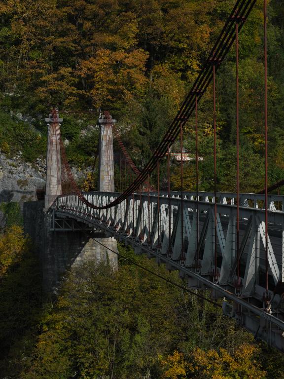 Pont suspendu dit pont de l'Abîme