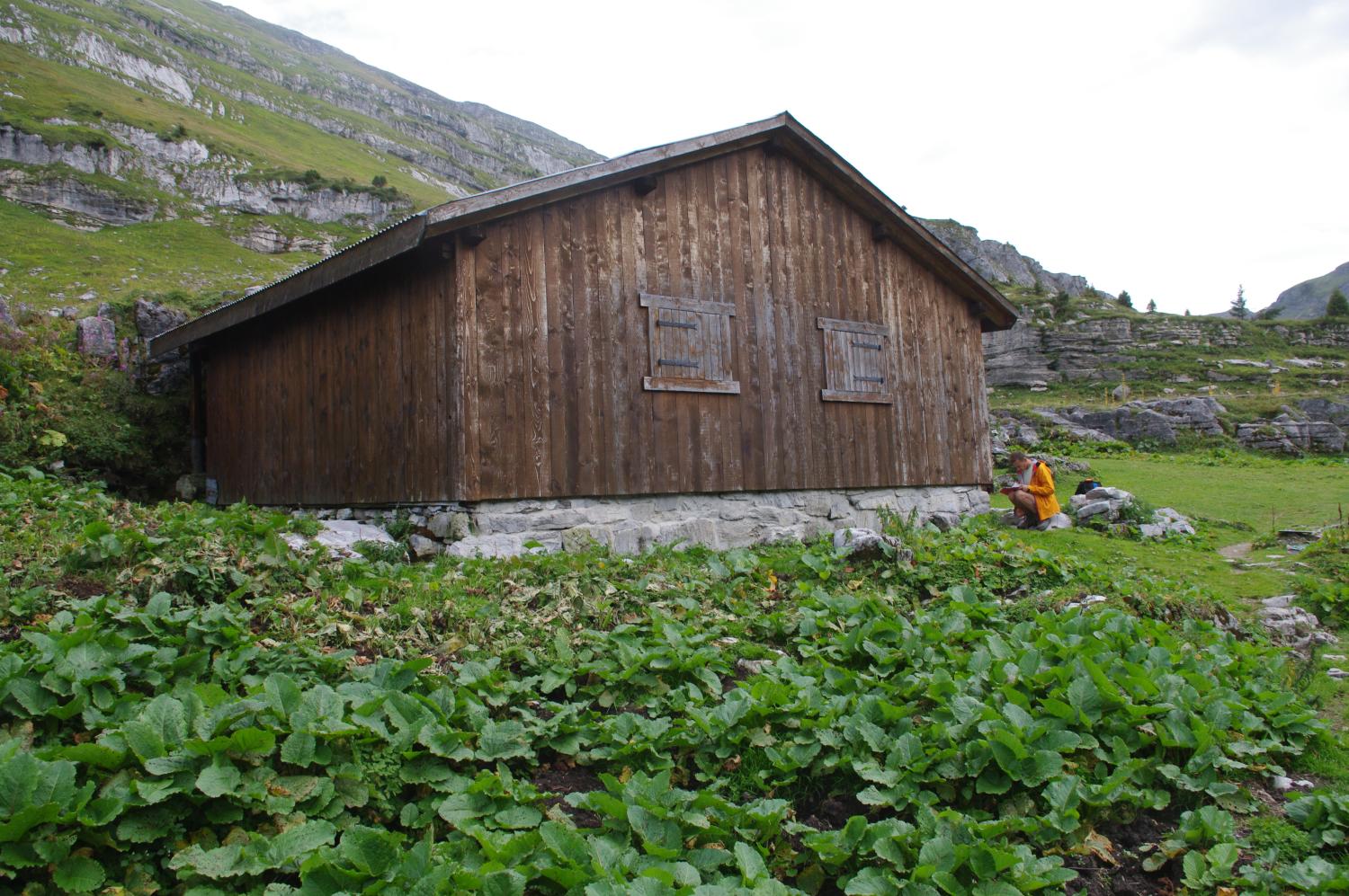 Chalet d'alpage